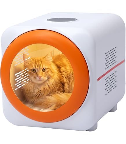 Amazon.co.jp: 【獣医師推奨・2026モデル】PETABOCT ペット用ドライ